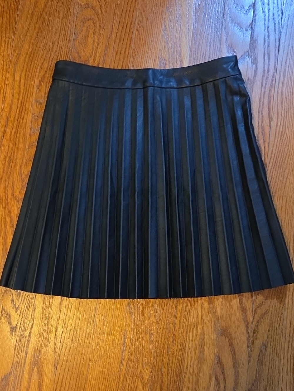 BB Dakota by Steve Madden Black Pleated Faux Leather A-Line Skirt